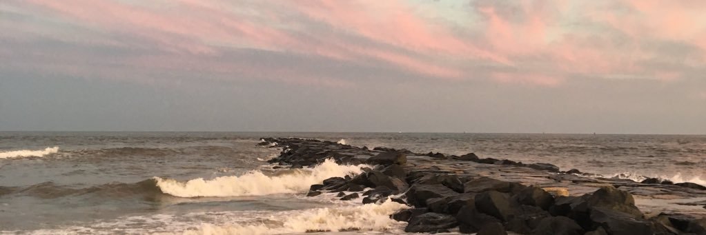 _sheaoneill_'s profile banner image