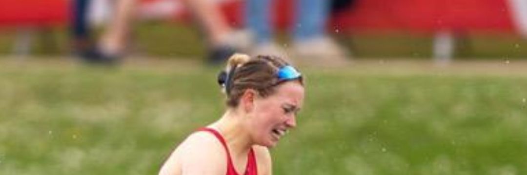 Llyr Meredith 🏴󠁧󠁢󠁷󠁬󠁳󠁿.🇪🇺 banner