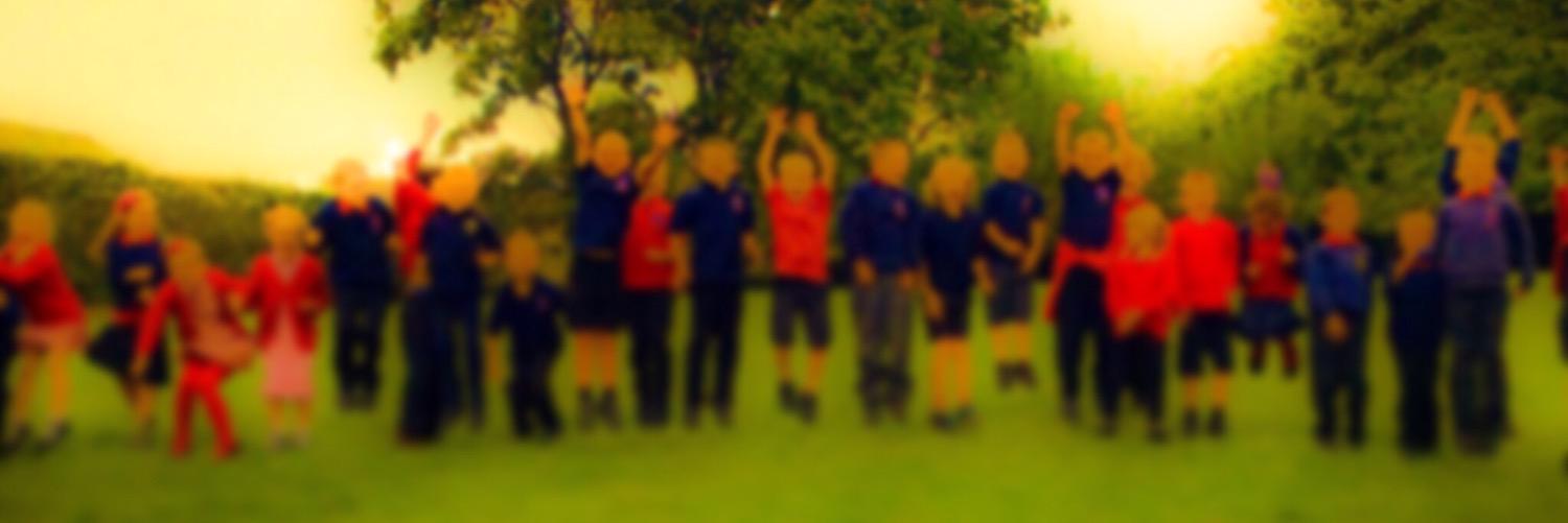 Y2Tigers's profile banner image