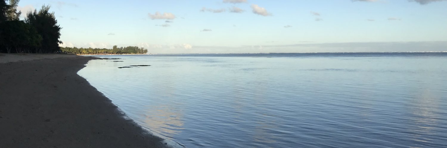 Sarah Purdie banner