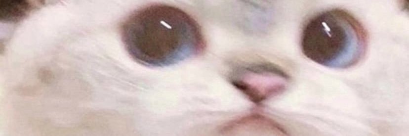 MarikBu's profile banner image
