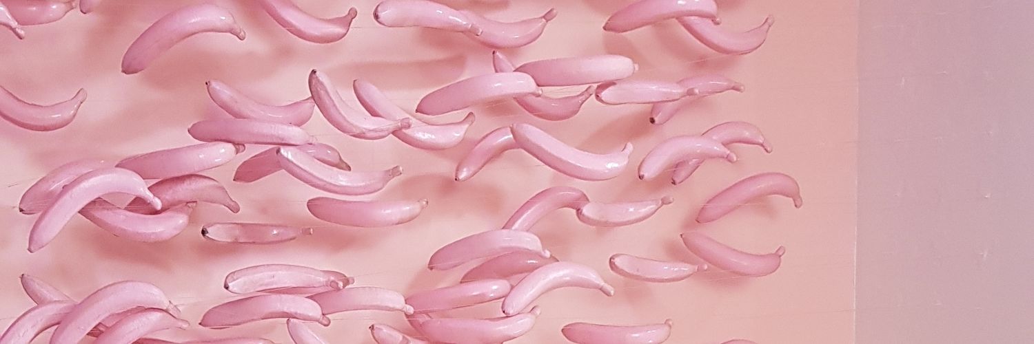 rosalma12's profile banner image