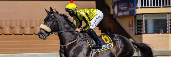 kdemelo01 Profile Banner