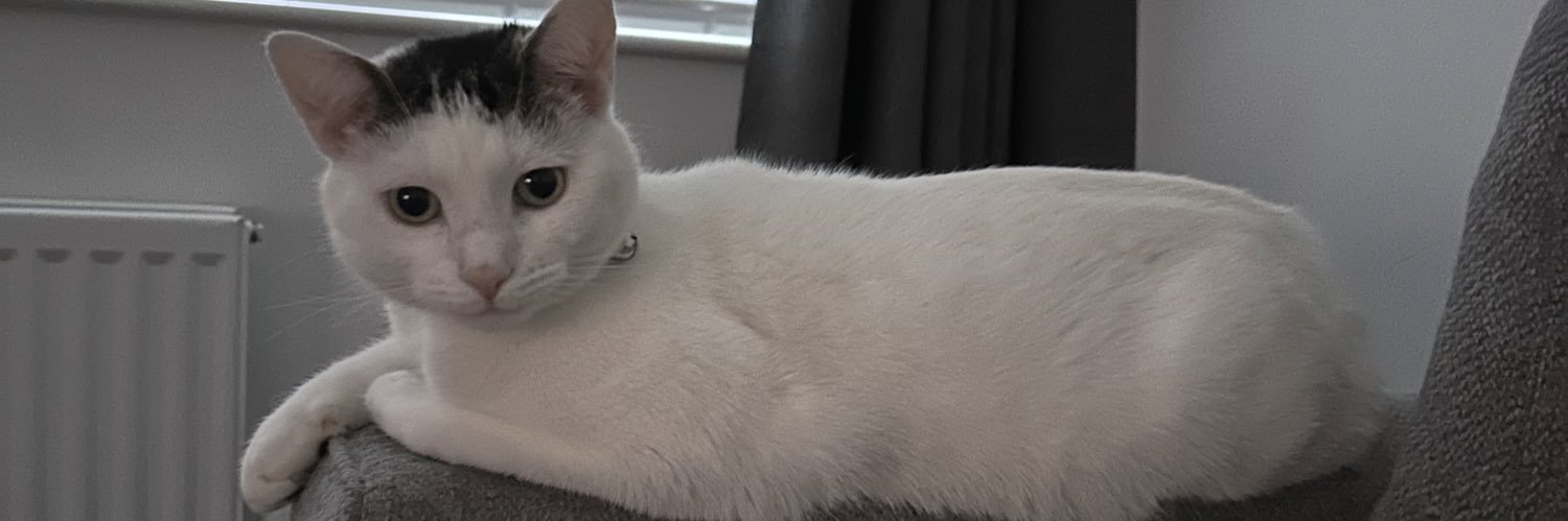 imogencollar's profile banner image