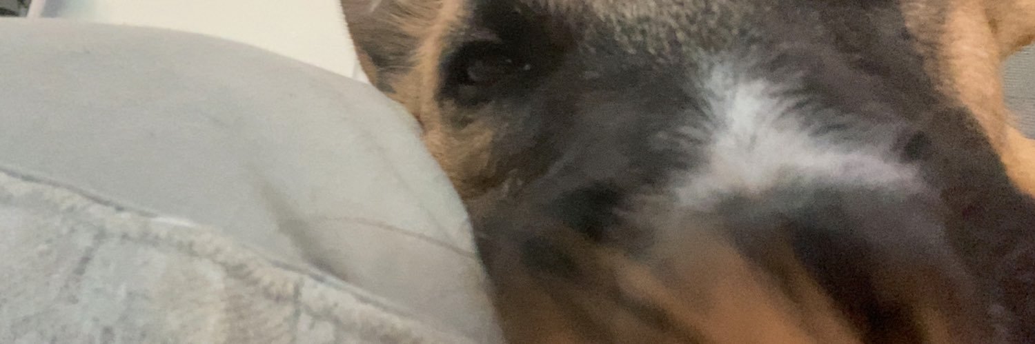 CassSteele2's profile banner image