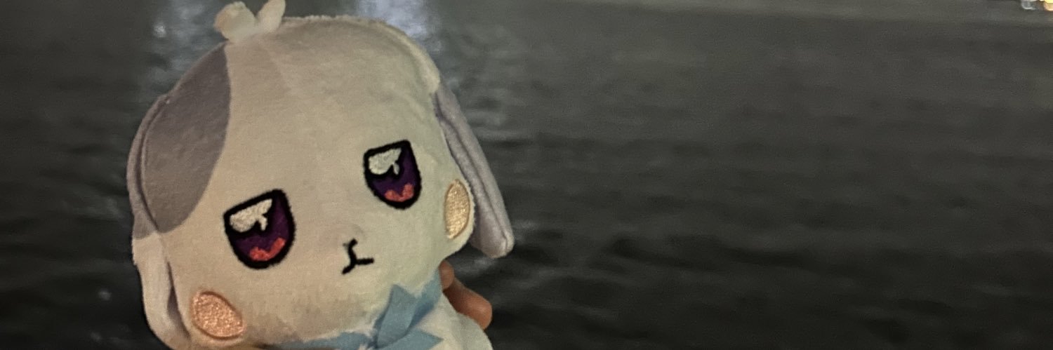 pupukero's profile banner image