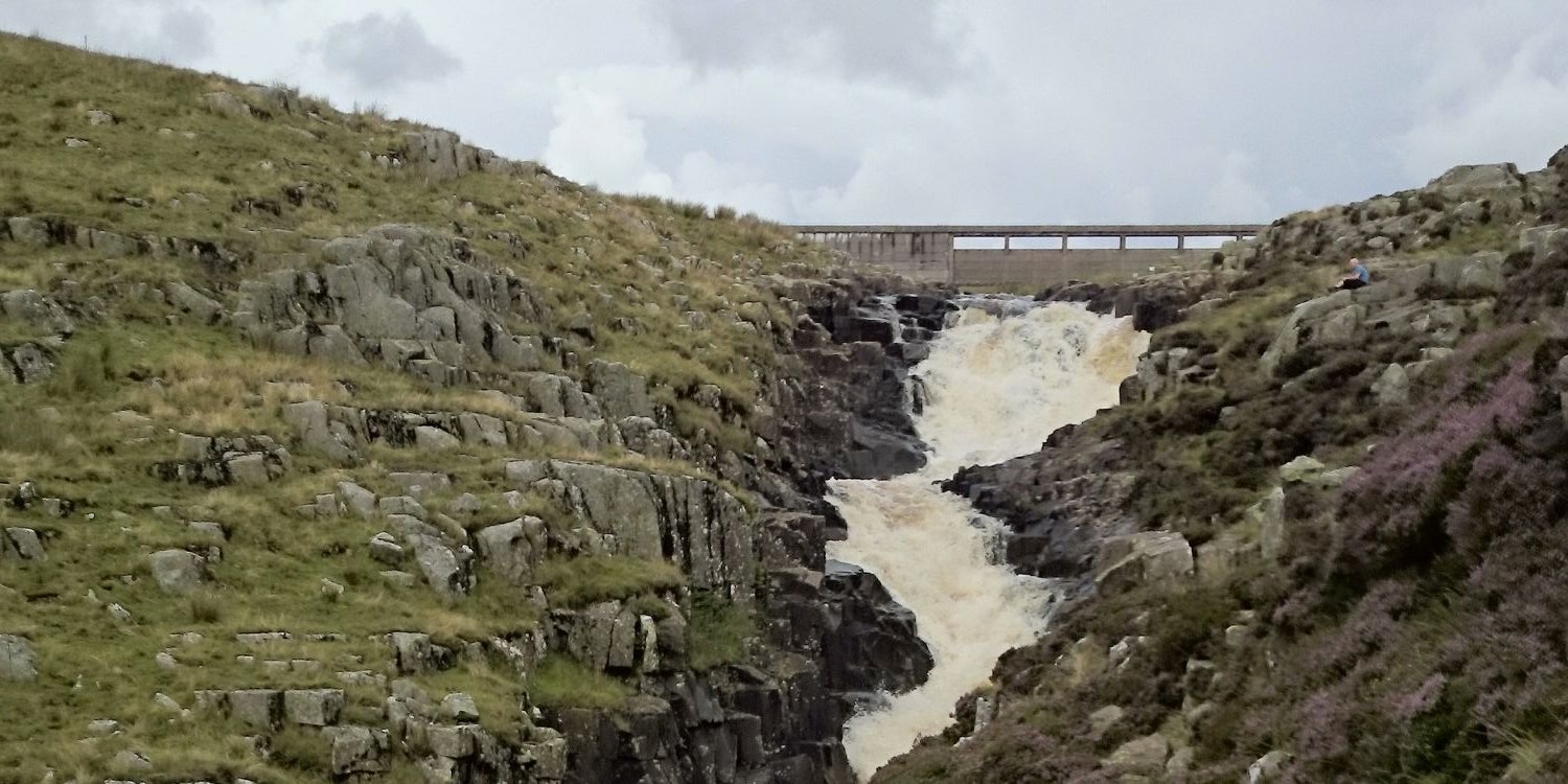 Steven Smiles banner