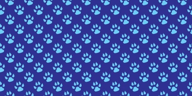 Grade2WolfPack's profile banner image
