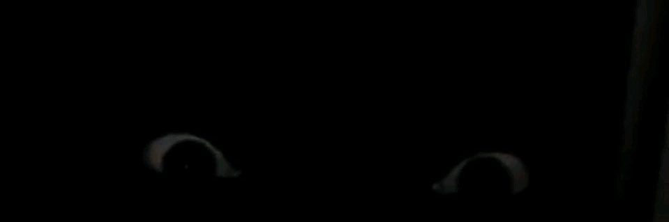 👁️ banner