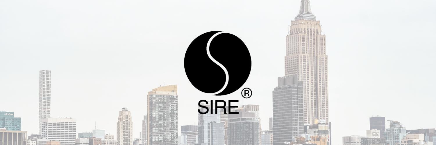 sirerecords's profile banner image