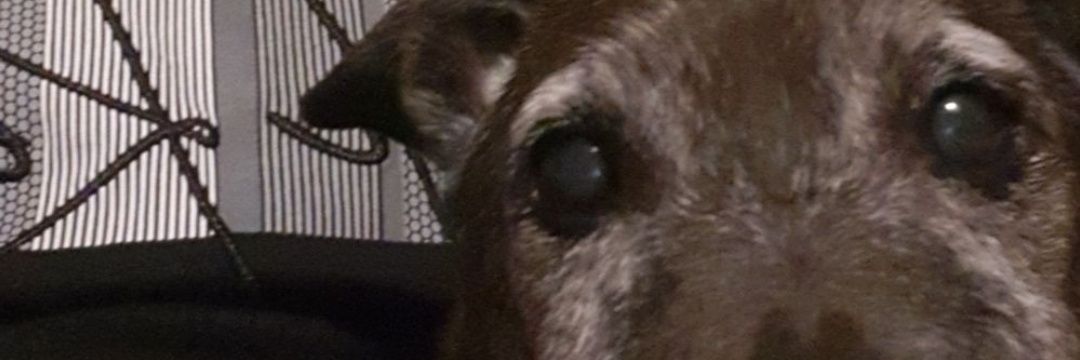 jackwes123's profile banner image
