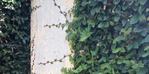 janehegdr's profile banner image
