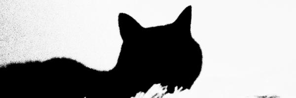 pedrocedeno1 Profile Banner