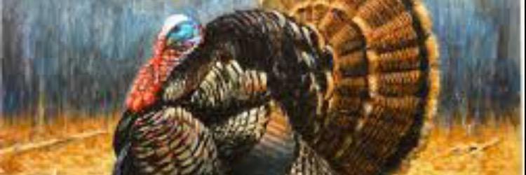 tsclements1's profile banner image