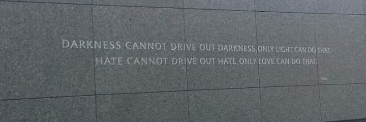 Fabiana Cambricoli banner