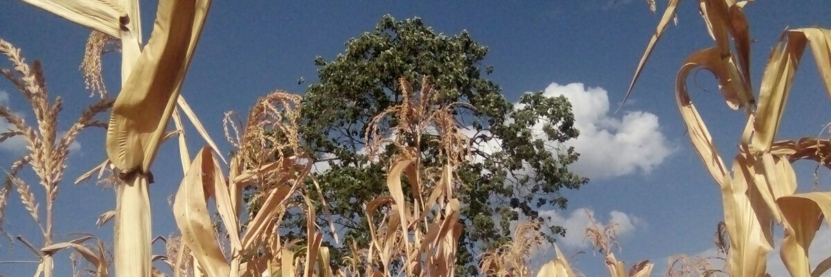 KNcreator's profile banner image