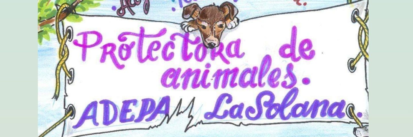 ADEPALaSolana's profile banner image