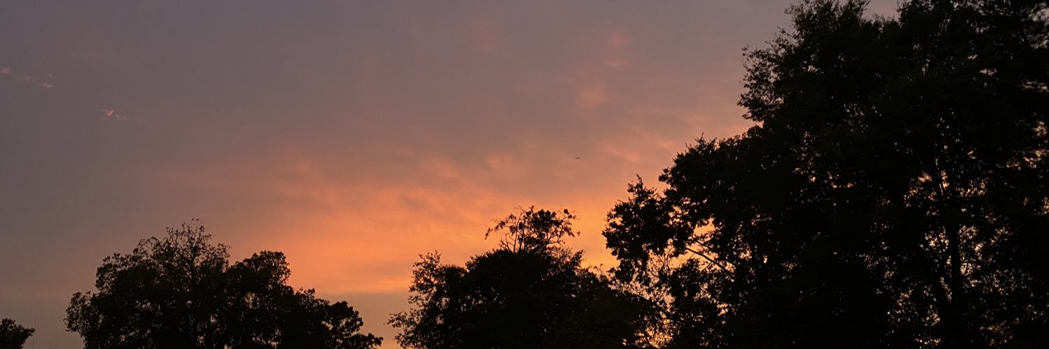 RachaelAtRandom's profile banner image