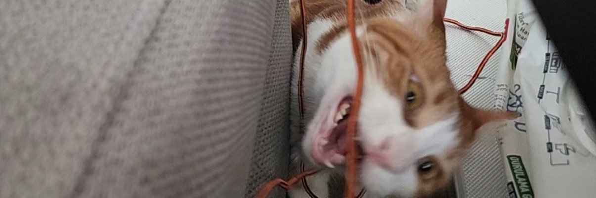 diilloossss's profile banner image