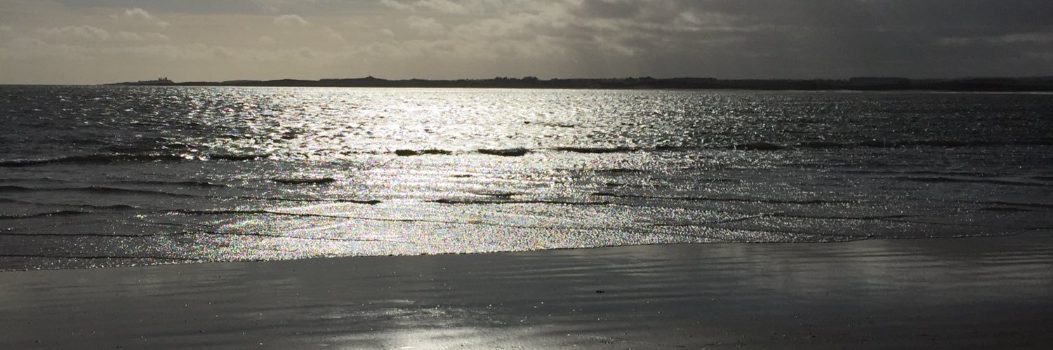 danlaycock1's profile banner image