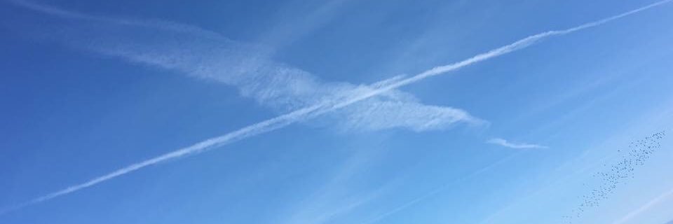 Lindasam28's profile banner image