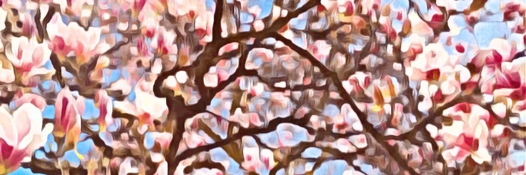 Renchen7's profile banner image