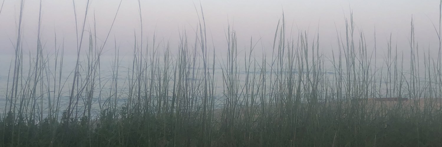 AmyOlney's profile banner image