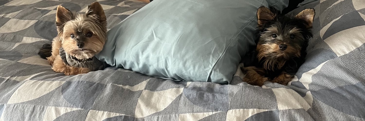 danialexsm's profile banner image
