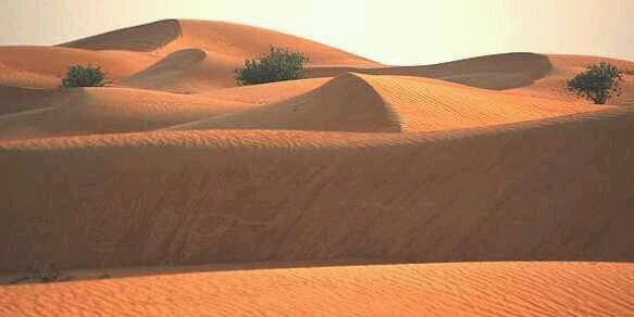 deni_jamil's profile banner image