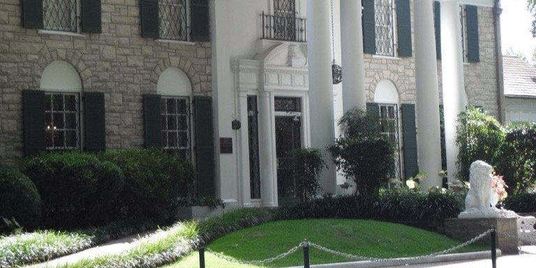 elaineferranti's profile banner image