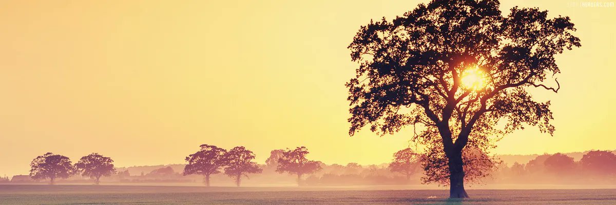 HazelBonbi72's profile banner image
