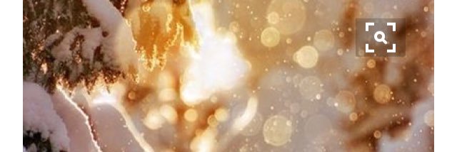 EMartens5's profile banner image