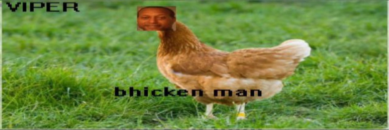 Bhicken's banner