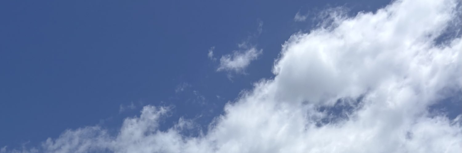 brisly_10's profile banner image