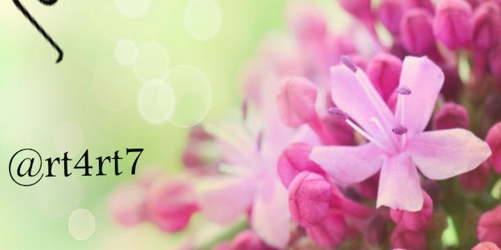 ↑↓سلمآن↓↑ banner