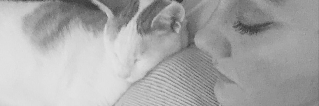 denizzunal's profile banner image