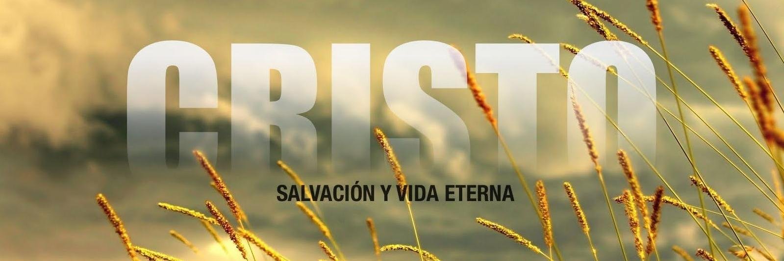 Boris Manuel Gamez J banner