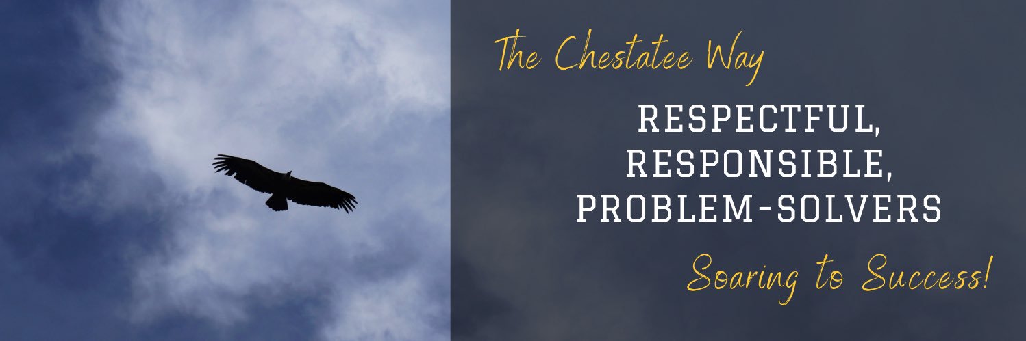 Chestatee Elementary banner