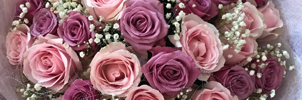 arynstefany's profile banner image