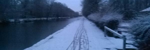 crysslit Profile Banner