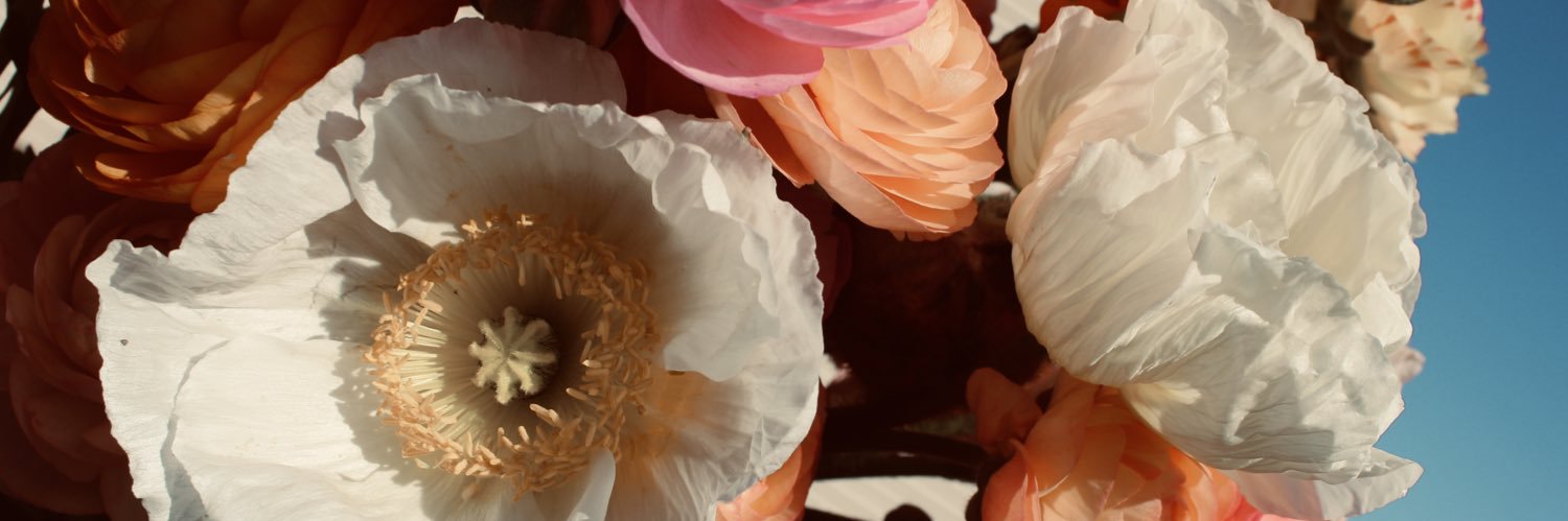 Kisagirl's profile banner image