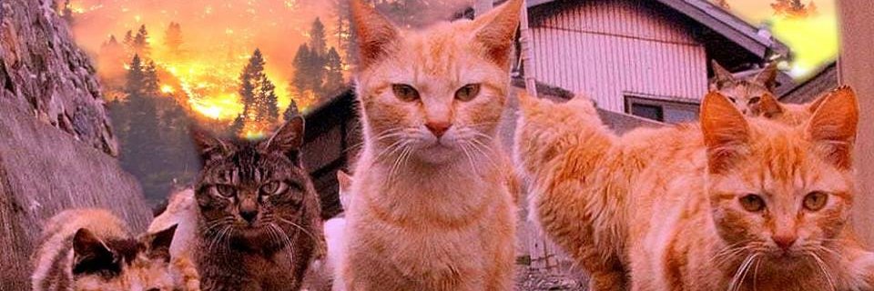 KingCalahan's profile banner image
