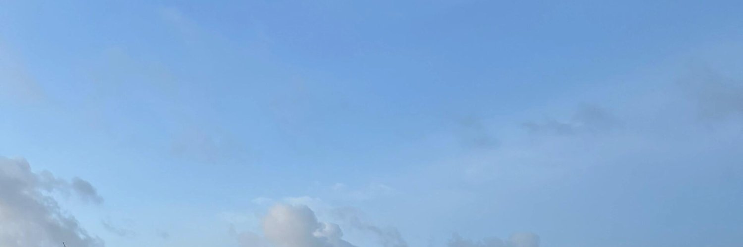 Freyaodk's profile banner image