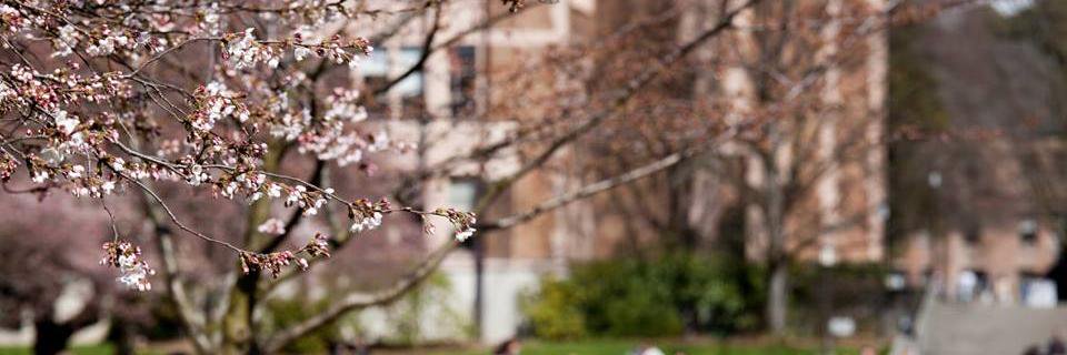 RTAdmissions's profile banner image