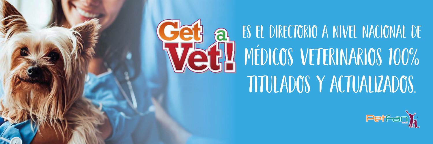 PetFanMexico's profile banner image