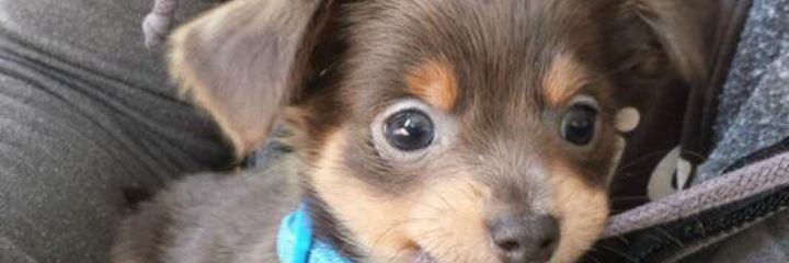 Joyce_Rules's profile banner image