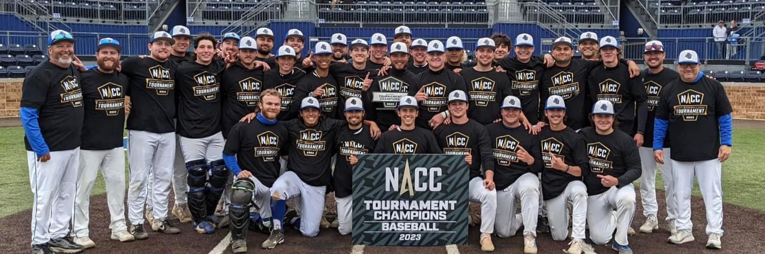 Aurora University Baseball banner