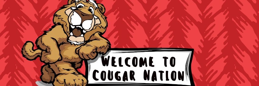 Cumming Elementary banner