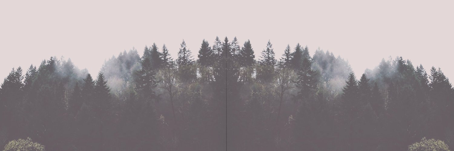 maele_d's profile banner image