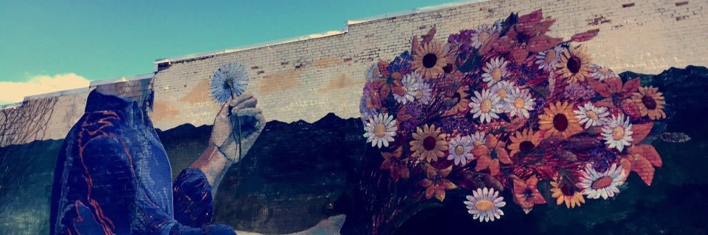 Amelia Probst banner